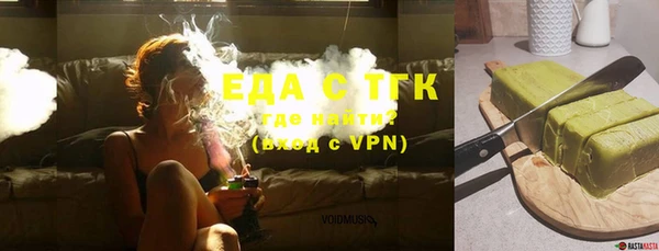 гидра Тайга