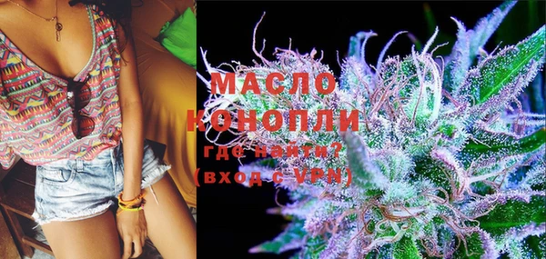 гидра Тайга