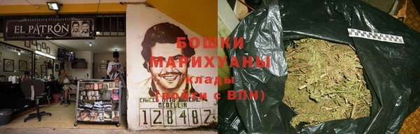 индика Тавда