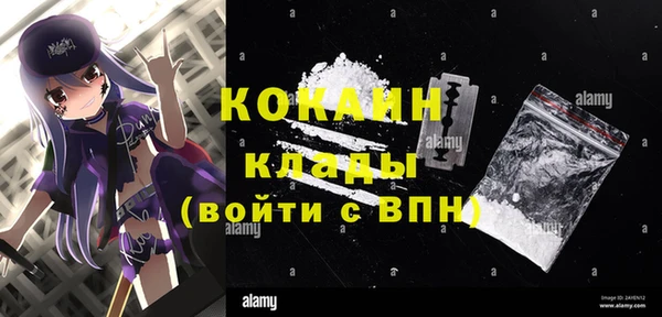 индика Тавда